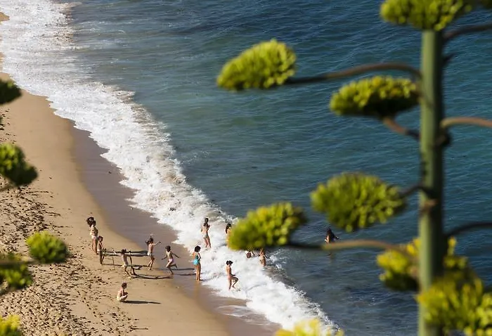 אכסניה Laneez Surf House *